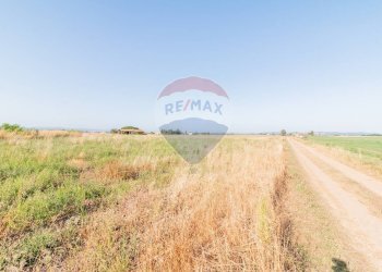 Giardino - Terreno agricolo strada provinciale S. donato
 
0, Orbetello - foto 7