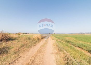 Vista delle montagne - Terreno agricolo strada provinciale S. donato
 
0, Orbetello - foto 8