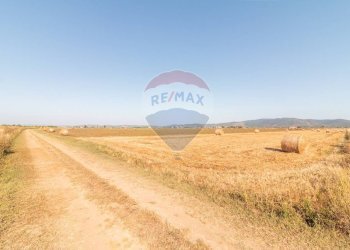 Vista dell\'acqua - Terreno agricolo strada provinciale S. donato
 
0, Orbetello - foto 9