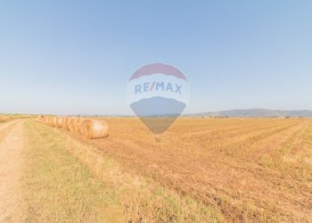 Vista delle montagne - Terreno agricolo strada provinciale S. donato
 
0, Orbetello - foto 10