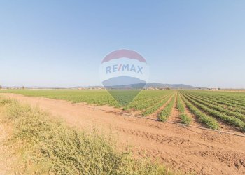 Vista delle montagne - Terreno agricolo strada provinciale S. donato
 
0, Orbetello - foto 12