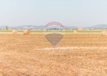 Vista delle montagne - Terreno agricolo strada provinciale S. donato
 
0, Orbetello - foto 13