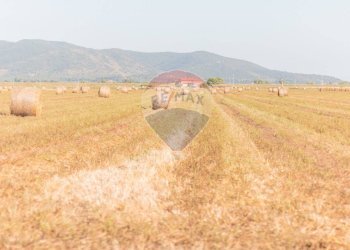 Vista delle montagne - Terreno agricolo strada provinciale S. donato
 
0, Orbetello - foto 15