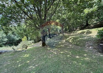 Giardino - Rustico Bagni di Lucca - foto 32