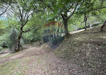 Giardino - Rustico Bagni di Lucca - foto 39