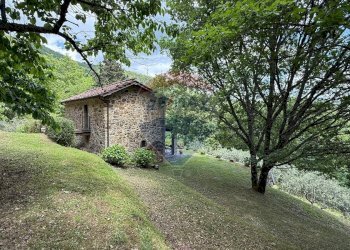 Giardino - Rustico Bagni di Lucca - foto 40