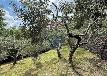 Giardino - Rustico Bagni di Lucca - foto 44