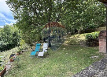 Giardino - Rustico Bagni di Lucca - foto 46