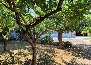 Foto 8 - Casa indipendente Portico di Caserta - foto 8