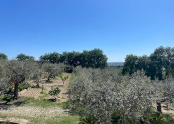 Foto 71 - Villa CONTRADA CECALUPO, Loreto Aprutino - foto 71