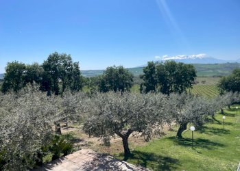 Foto 73 - Villa CONTRADA CECALUPO, Loreto Aprutino - foto 73