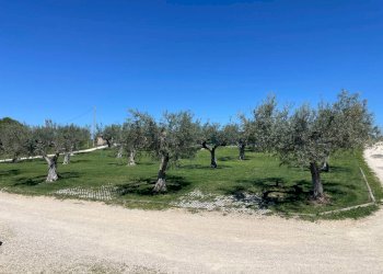 Foto 74 - Villa CONTRADA CECALUPO, Loreto Aprutino - foto 74