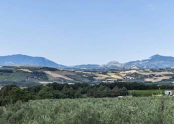 Foto 60 - Villa CONTRADA CECALUPO, Loreto Aprutino - foto 60