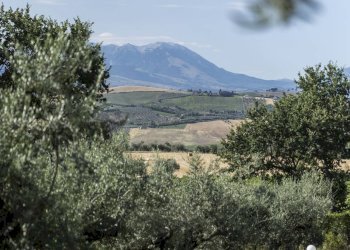 Foto 61 - Villa CONTRADA CECALUPO, Loreto Aprutino - foto 61