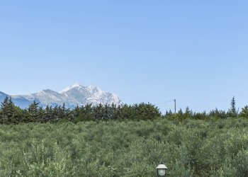 Foto 62 - Villa CONTRADA CECALUPO, Loreto Aprutino - foto 62