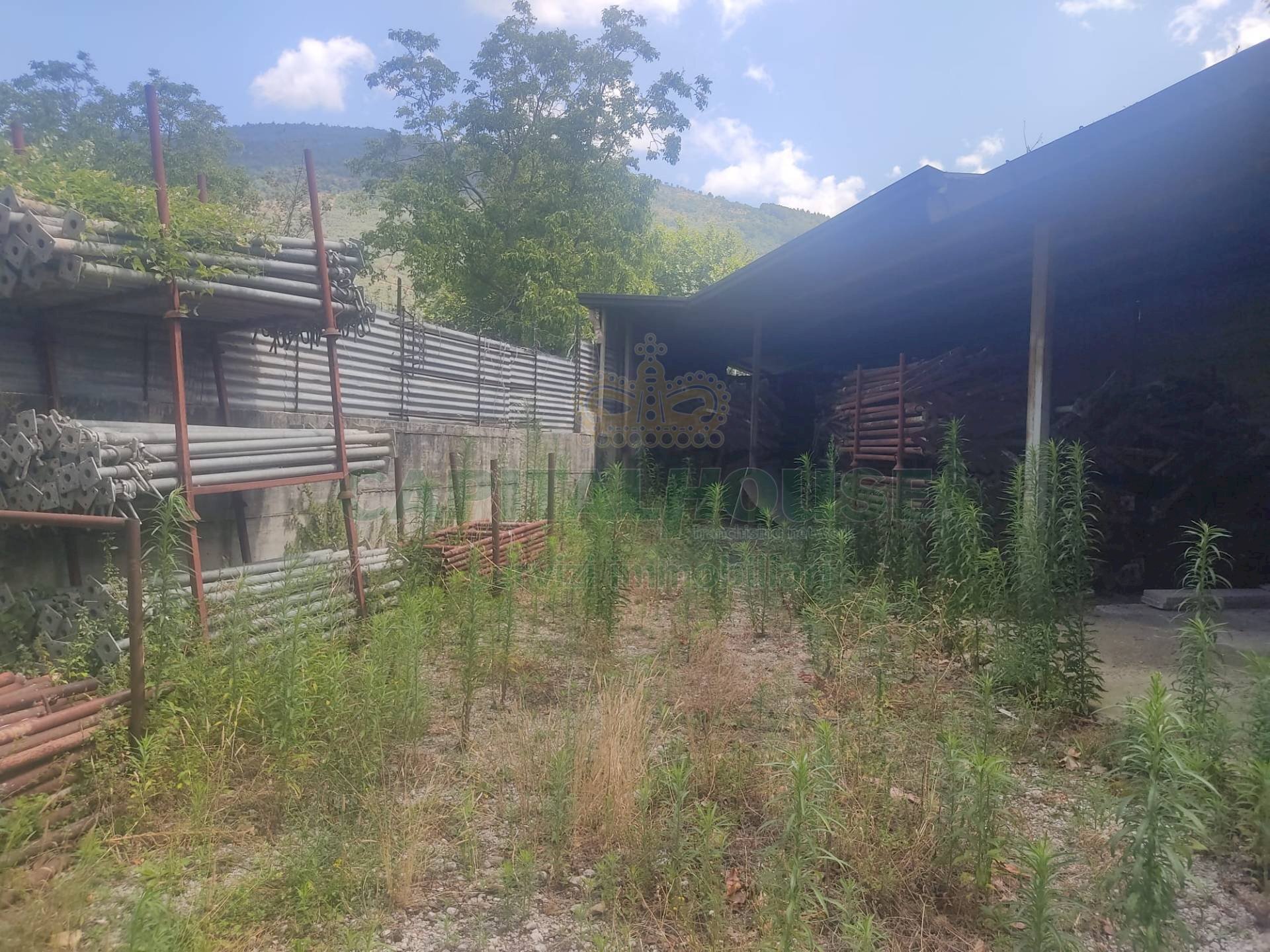 Foto 2 - Terreno agricolo viale michelangelo, Sirignano - foto 2