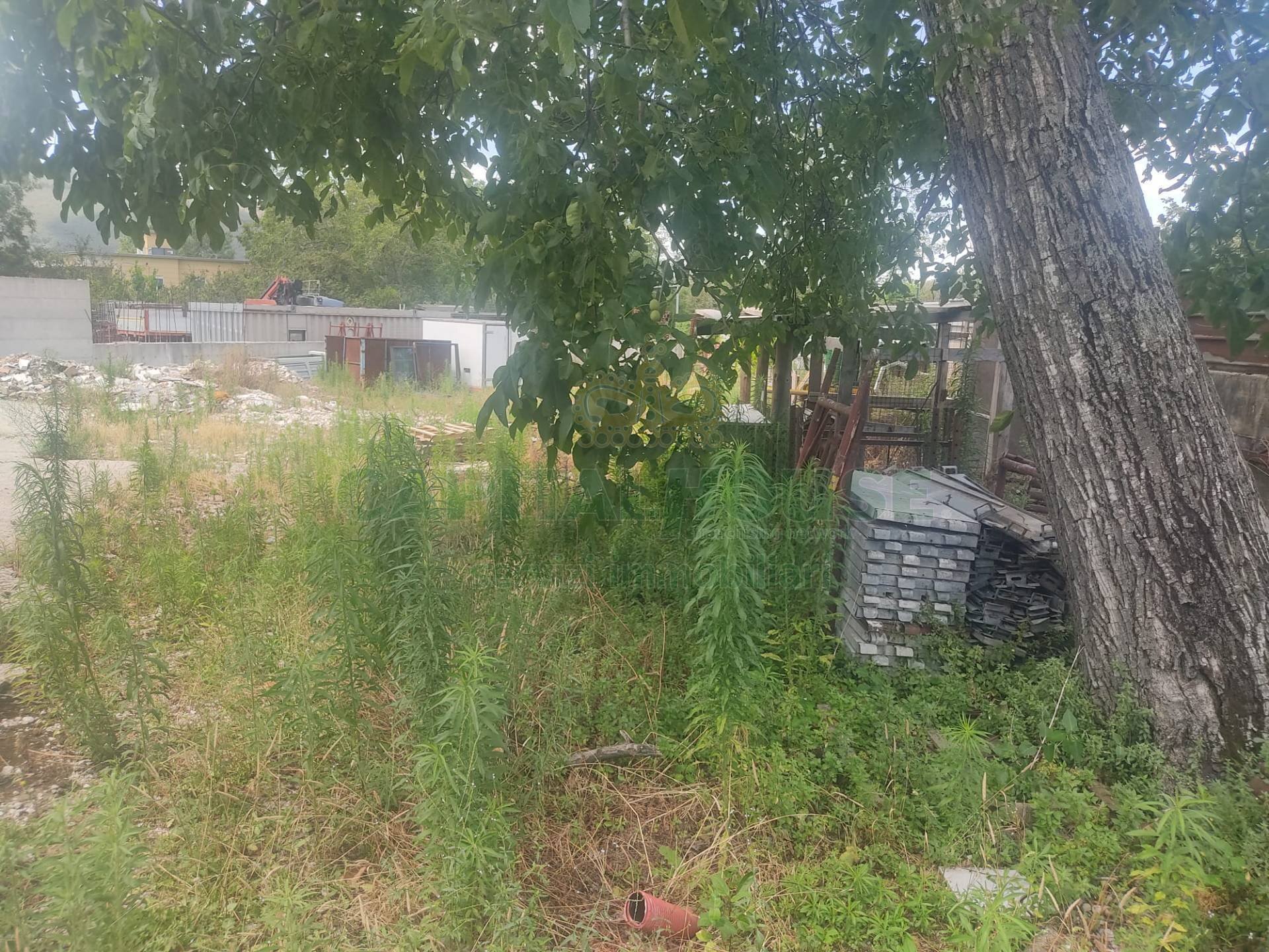 Foto 3 - Terreno agricolo viale michelangelo, Sirignano - foto 3