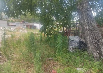 Foto 3 - Terreno agricolo viale michelangelo, Sirignano - foto 3