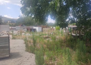 Foto 4 - Terreno agricolo viale michelangelo, Sirignano - foto 4