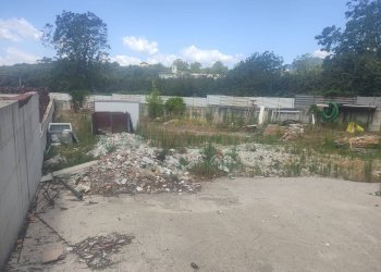 Foto 5 - Terreno agricolo viale michelangelo, Sirignano - foto 5