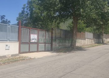 Foto 6 - Terreno agricolo viale michelangelo, Sirignano - foto 6