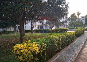 Giardino - Office via P.Calamandrei
 
86, Vittoria - photo 26