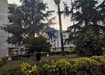 Edificio all\'aperto - Office via P.Calamandrei
 
86, Vittoria - photo 27