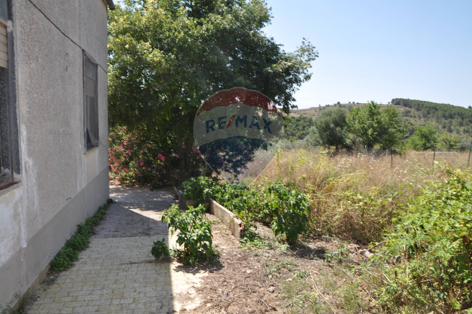 Giardino - Casa indipendente contrada salinella, Ragusa - foto 3