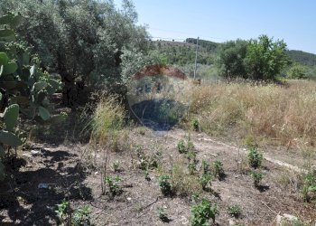 Giardino - Casa indipendente contrada salinella, Ragusa - foto 4