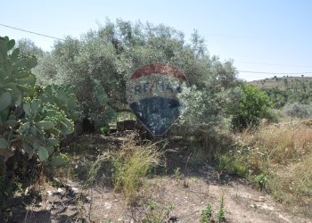Giardino - Casa indipendente contrada salinella, Ragusa - foto 9