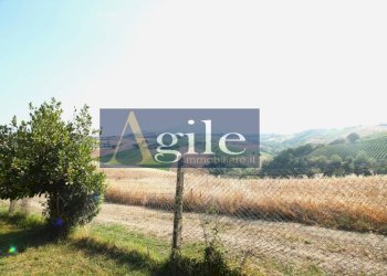 Foto 53 - Rustico contrada rufiano, Castignano - foto 53