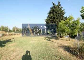 Foto 56 - Rustico contrada rufiano, Castignano - foto 56