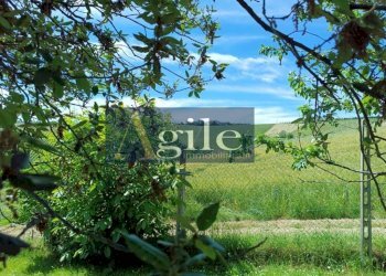 Foto 68 - Rustico contrada rufiano, Castignano - foto 68