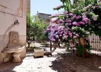 Terrazza - Casa semi indipendente Piazza Vittorio Emanuele II
 
2, Acquaviva delle Fonti - foto 31