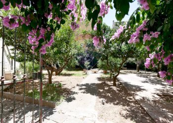 Giardino - Casa semi indipendente Piazza Vittorio Emanuele II
 
2, Acquaviva delle Fonti - foto 32