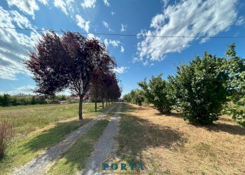 Foto 39 - Casa indipendente Via Costamagna
 
2a, Lequio Tanaro - foto 39