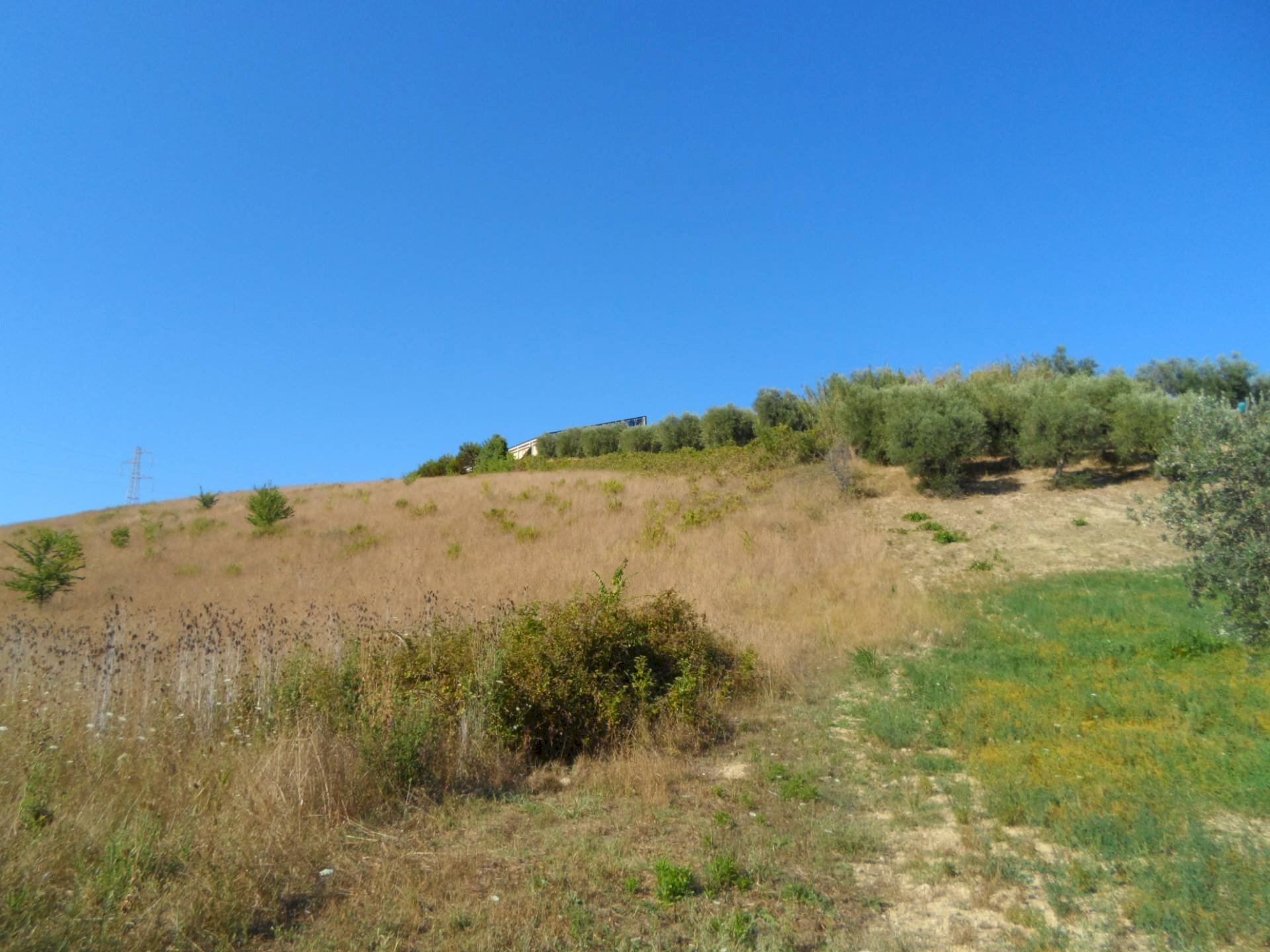 Foto 1 - Terreno agricolo Via Monterone, Monteprandone - foto 1