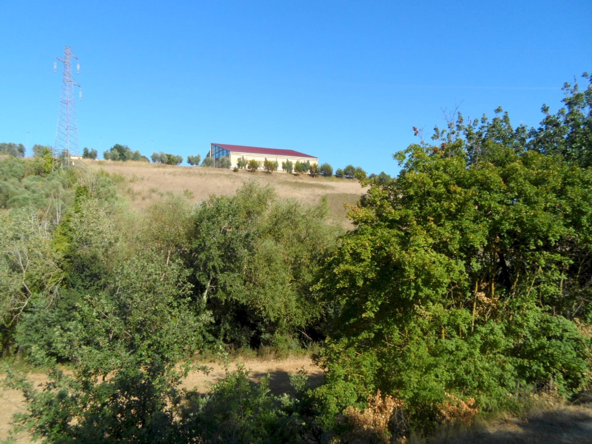 Foto 2 - Terreno agricolo Via Monterone, Monteprandone - foto 2