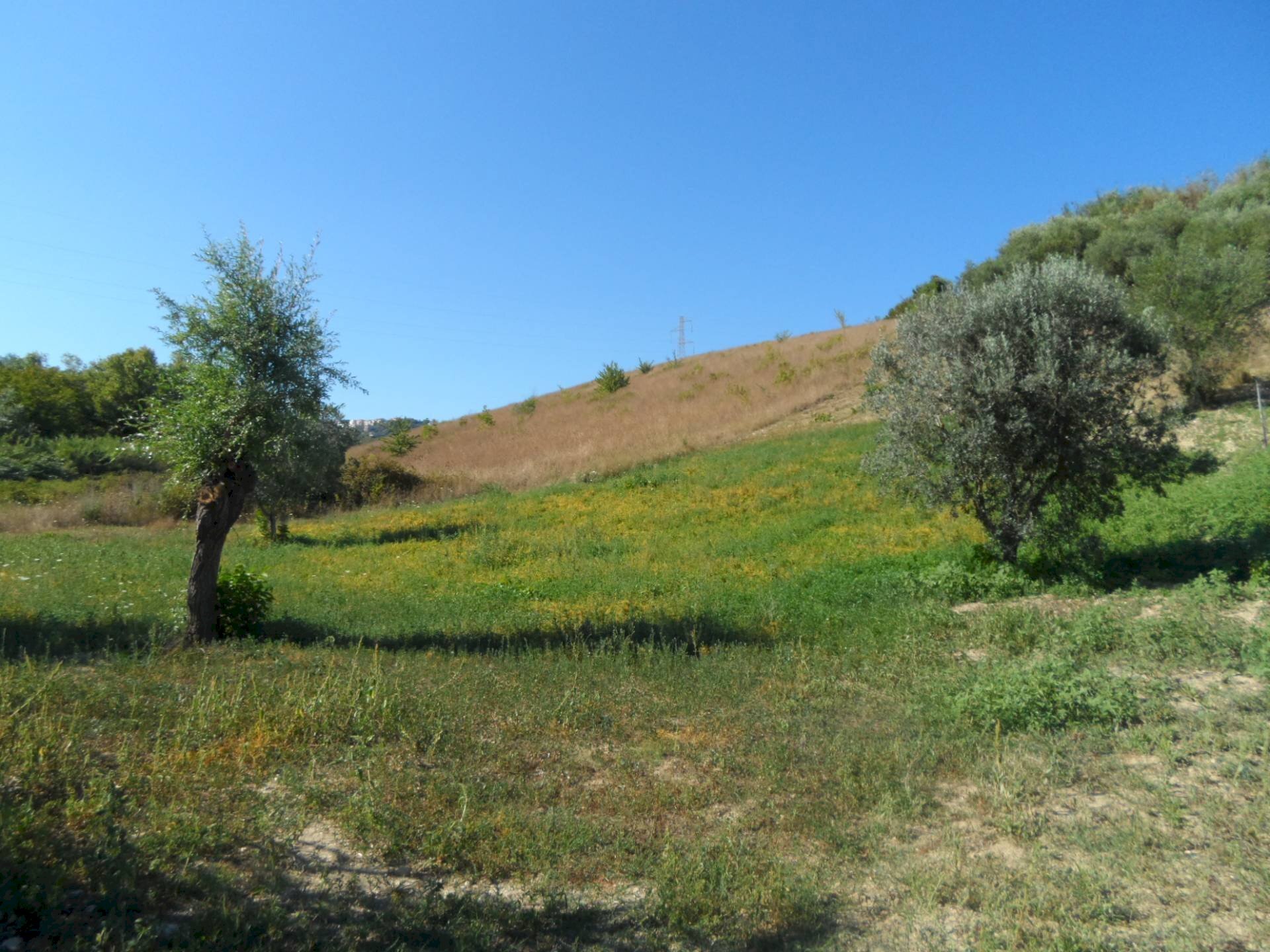 Foto 3 - Terreno agricolo Via Monterone, Monteprandone - foto 3