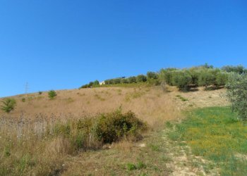 Foto 1 - Terreno agricolo Via Monterone, Monteprandone - foto 1