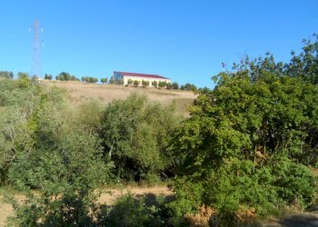 Foto 2 - Terreno agricolo Via Monterone, Monteprandone - foto 2