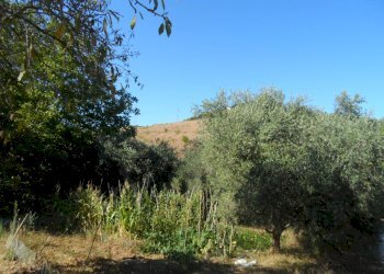 Foto 4 - Terreno agricolo Via Monterone, Monteprandone - foto 4