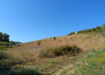 Foto 7 - Terreno agricolo Via Monterone, Monteprandone - foto 7