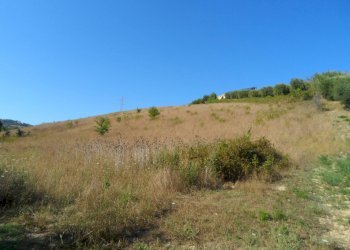 Foto 8 - Terreno agricolo Via Monterone, Monteprandone - foto 8