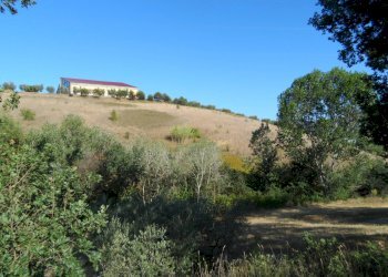 Foto 9 - Terreno agricolo Via Monterone, Monteprandone - foto 9