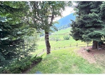 Terreno - Villa Frazione Rovallo, Crodo - foto 24