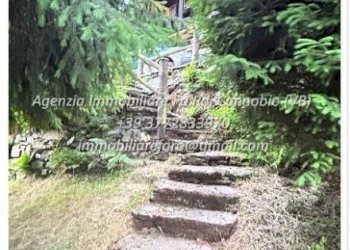 Terreno - Villa Frazione Rovallo, Crodo - foto 45