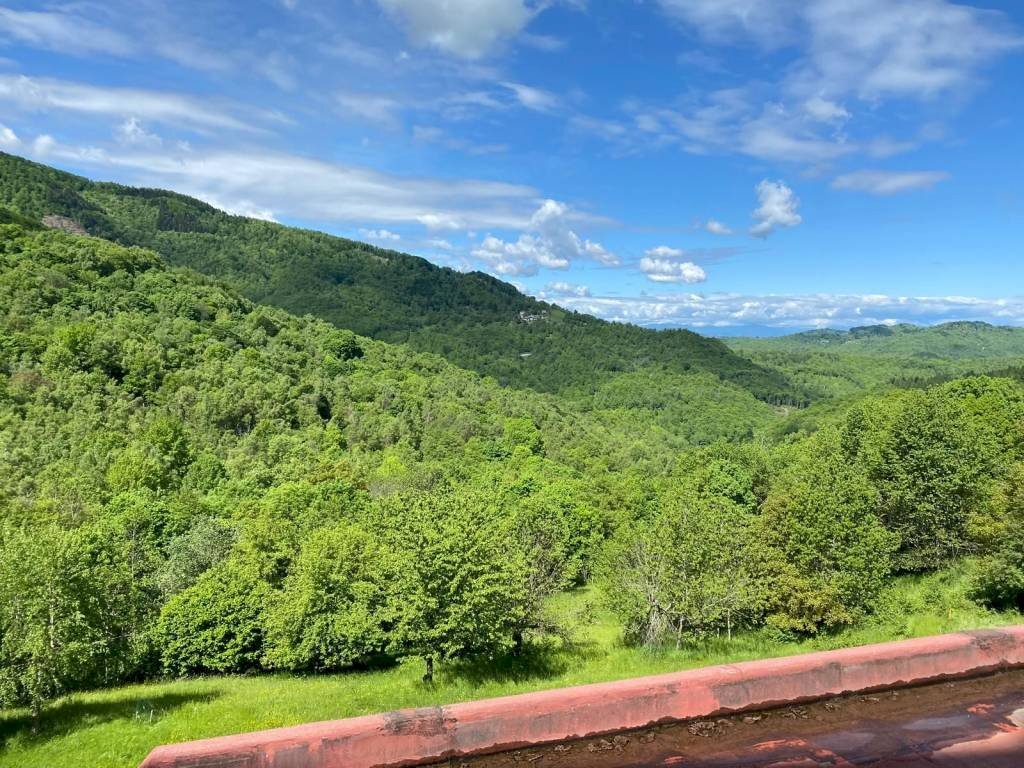 Vista - Monolocale via Santuario, 18, Viola - foto 3