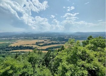 Casa indipendente Castellino Tanaro - foto 15