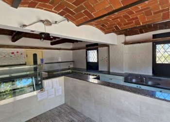 Bar Tavola Calda - Fredda Carpi - foto 5